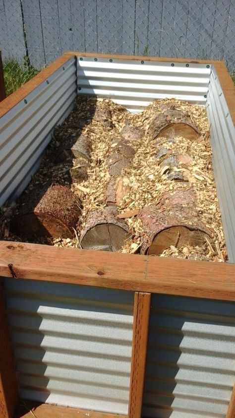 Raised Bed Gardening, Vegetable Garden Raised Beds, Building A Raised Garden, Vegetable Garden Diy, Diy Raised Garden, Raised Garden Beds Diy, Organic Vegetable Garden, Veg Garden, Organic Gardening Tips