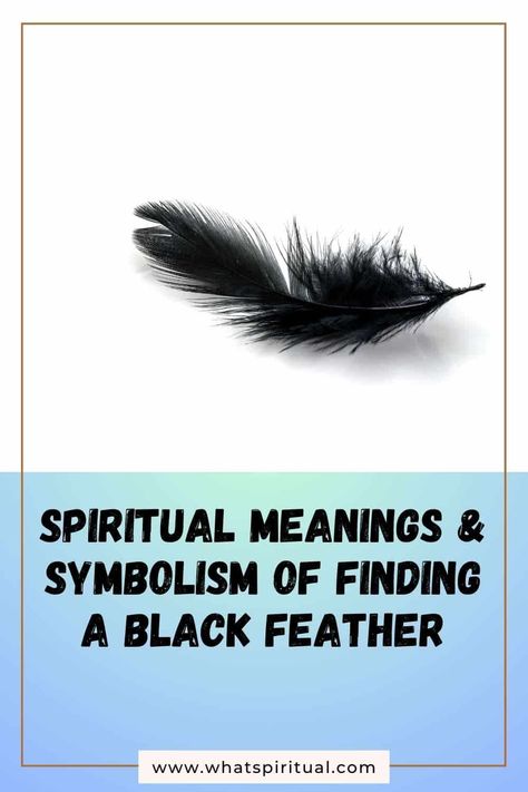 10 Meanings of Finding Black Feather (Spiritual & Biblical) 2 Meaning Of Black Feather, Red Feather Meaning, Black Feather Meaning, Feather Color Meaning, 10 Meaning, Finding Feathers, Feather Tattoo Meaning, Feather Meaning, Crow Feather