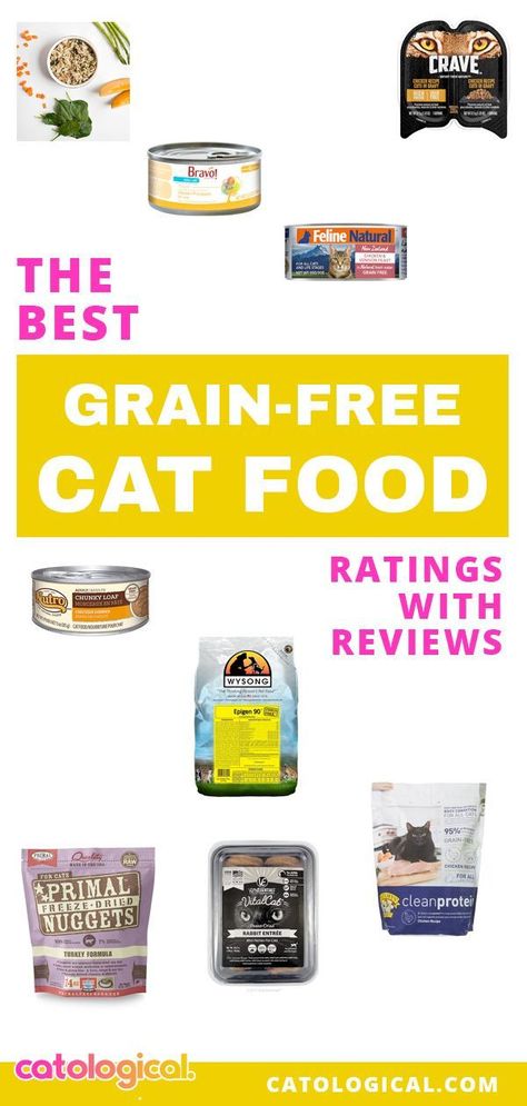 No cat would ever go around eating corn, rice, wheat, or oats in the wild. They need meat! That's why we put together this list of the best grain-free cat foods on the market, to help you figure out not only what foods are grain free, but what the BEST grain free foods are for your kitty. #cat #cats #kitten #kittens #catfood #grainfree #grainfreecatfood Cats Health, Diy Cat Food, Grain Free Cat Food, Cat Health Problems, Corn Rice, Cat Diet, Best Cat Food, Kitten Food, Healthy Cat