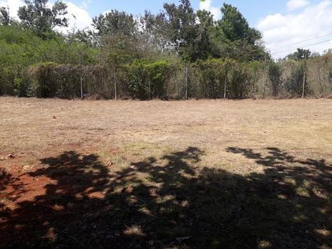 Cheap Land for sale in Fairfield Clarendon, property is fenced and well kept Cheap Land For Sale, Cheap Land, Concrete Block Walls, Concrete Block, Metal Spikes, Concrete Blocks, Land For Sale, Fixer Upper, Fencing