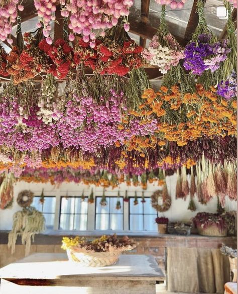 Dried Flowers Ceiling, Dried Flower Backdrop, Flower Drying, Soho House, Flower Backdrop, Dried Flower, Store Design, Soho, Ibiza