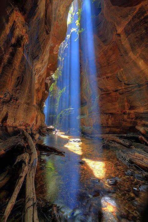 Sun rays shining on Rocky Creek Canyon in Blue Mountains, Australia Blue Mountains Australia, Blue Mountains, Hobart, Blue Mountain, Australia Travel, Amazing Nature, Natural Wonders, Beautiful World, Beautiful Landscapes