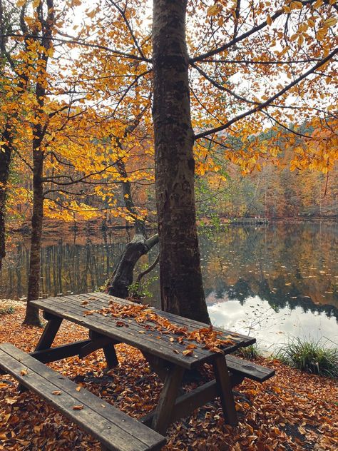 Fall By The Lake, Cottage Fall Aesthetic, Autumn Lake Aesthetic, Maine Autumn, Northern Attitude, Evermore Aesthetic, November Vibes, Fall Lake, Autumn Cottagecore