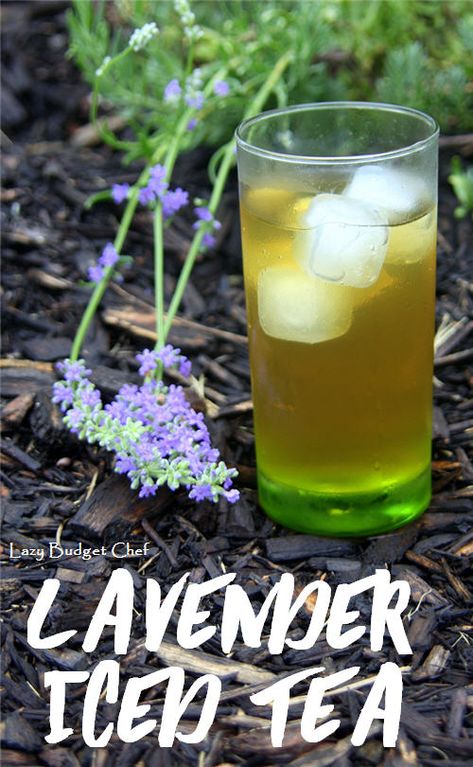 80+ Best Summer Recipes — Page 6 Best Summer Recipes, Simple Homestead, Homestead Blog, Iced Tea Recipe, Iced Tea Pitcher, Healthy Popsicles, Ideas Cocina, Lavender Recipes, Culinary Lavender