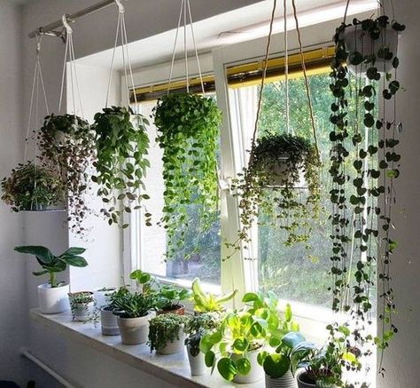 Positive Hanging Plants Ideas Tanaman Indoor, Hanging Plants Indoor, تصميم للمنزل العصري, Inside Plants, Decoration Plante, Plant Decor Indoor, House Plants Decor, Room With Plants, House Plants Indoor