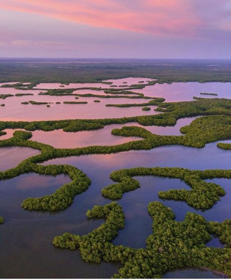 Florida Everglades, Cessna 172, Everglades Florida, Everglades National Park, Usa Beaches, World Water Day, Thousand Islands, Breathtaking Places, Nature Architecture