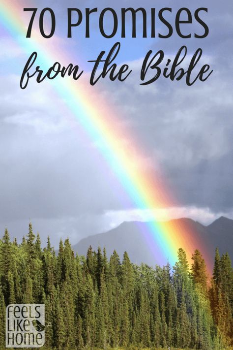 70 of God's promises from the Bible - These encouraging scriptures, verses, and quotes for women and men are words to live by. Relationships and encouragement by faith. Encouraging and inspirational words for healing and hard times.  https://feelslikehomeblog.com/2018/03/standing-on-the-promises-of-god-70-biblical-promises-you-can-count-on/ Words For Healing, Biblical Promises, Bible Verses For Girls, Scriptures Verses, The Promises Of God, Encouraging Scriptures, Promise Quotes, God Promises, God Encouragement