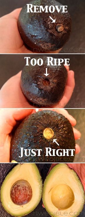 Fruit Hacks, Avocado Dessert, Bizarre Pictures, Läcker Mat, Food Info, Think Food, Deilig Mat, Idee Pasto Sano, Avocado Recipes