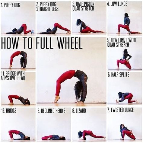 How to do Full Wheel  #fitabouts #motivation #yogalife #pose #fit #yogafun #yogaeverydamnday #health #yogadaily #yogalove #yogapractice… Flexibility Exercises, Yoga Ashtanga, Wheel Pose, Yoga Beginners, Yoga Iyengar, Trening Fitness, How To Start Yoga, Yoga Help, Yoga Exercises