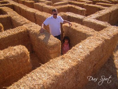 Straw Maze, Hay Maze, Hay Balers, Hand Water Pump, Patch Ideas, Halloween Family, Hay Bales, Corn Maze, Fall Time