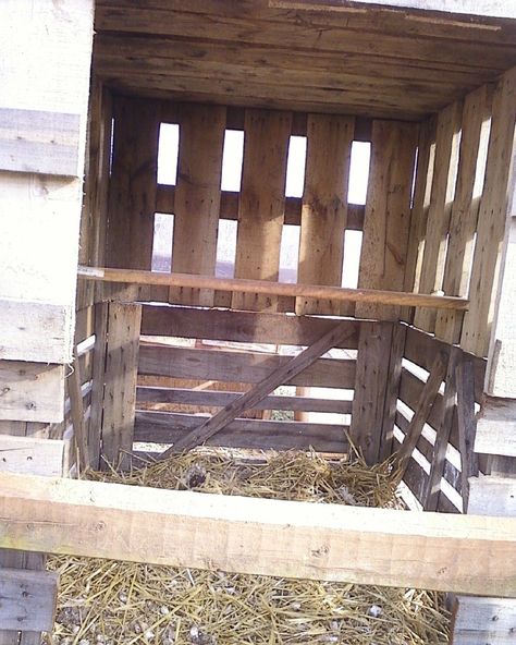 Turkey house Turkey Coops Diy, Pallet Turkey Coop, Turkey Coops Ideas, Diy Turkey Coop Ideas, Turkey Coop Diy, Turkey Shelter Ideas, Pet Turkey House, Turkey Roost Diy, Turkey Brooder Ideas