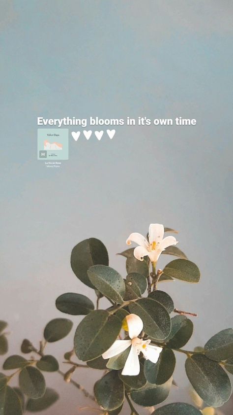 Instagramstoryinspirationastheticflowersquotesideas Short Selflove Captions, Aesthetic Qoutes Flower, Flowers Asthetic Caption, Pov Caption Ideas For Flowers, Deep Flower Quotes, Instagram Story Ideas Flowers Caption, Instagram Story With Flowers, Aesthetic Wallpaper For Instagram Story, Flowers Story Instagram Ideas