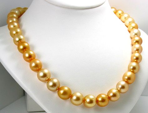 South Sea Pearl Necklace, Yellow Pearl, Golden South Sea Pearls, Art Ancien, Pearl Design, Sea Pearl, South Seas, South Sea Pearls, Main Character