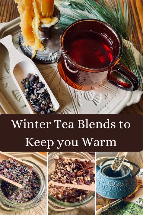 As an herbalist, I quickly turned to tea when I wanted to begin bringing rituals for the winter months into my home. There are many herbs that work to warm the body and increase circulation, both very important during cold winters. There are also herbs that bring calm and peace to the body and mind. Winter Tea Blend Recipe, Homemade Tea For Colds, Christmas Tea Blends Recipes, Diy Black Tea Blends, Winter Herbal Tea, Morning Tea Blend, Calming Tea Recipe, Winter Tea Blends, Homemade Herbal Tea Recipes