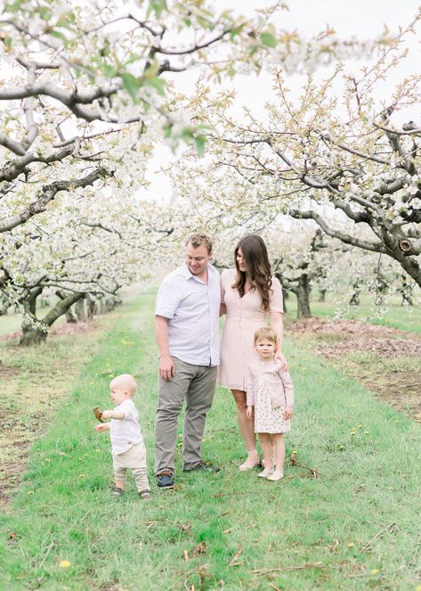 Cherry Blossom Family Photos, Blossom Outfit, Blossom Photoshoot, Cherry Blossom Outfit, Spring Pics, Cherry Blossom Pictures, Family Photos What To Wear, Almond Blossoms, Spring Portraits