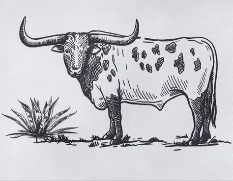 Ox Sketch Drawings, Western Outline Tattoo, Western Skull Drawing, Long Horn Drawing Simple, Easy Western Sketches, Country Easy Drawings, Old Western Drawings, Western Doodles Easy, Simple Western Drawings