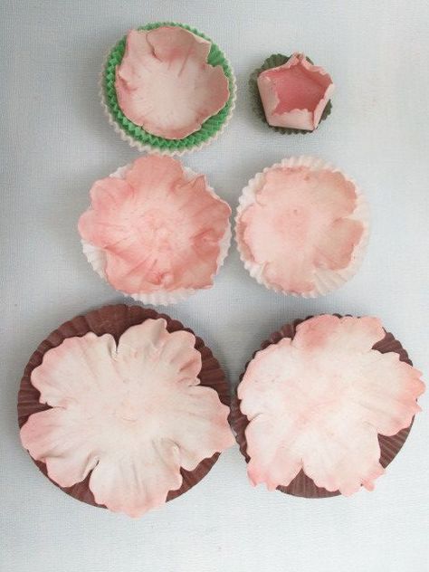 Fondant Peonies, Gum Paste Bow, Gum Paste Flowers Tutorials, Flowers Fondant, Peony Cake, Car Cakes, Handbag Cakes, Cake Decorating Flowers, Cakes Fondant