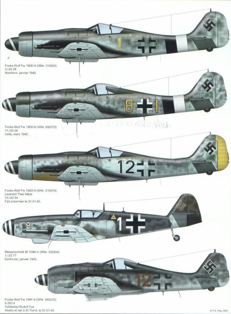 Foke-Wulf FW190 & Messerschmitt BF-109  variations Luftwaffe Planes, Fw 190, Wwii Fighter Planes, Мотоциклы Cafe Racers, Wwii Airplane, Messerschmitt Bf 109, Bf 109, Wwii Fighters, Aircraft Painting