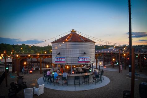 Silo Ideas, Silo Bar, Grain Bin House, Grain Bins, Corn Crib, Silo House, Outside Bars, Backyard Gazebo, Backyard Bar