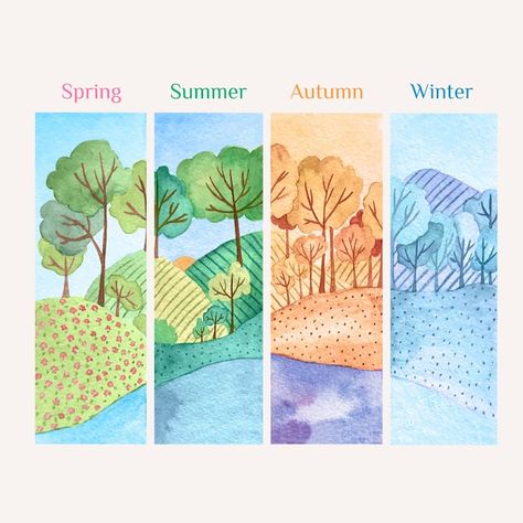 Watercolor Seasons Painting, 4 Seasons Illustration, 4 Seasons Drawing, Watercolor Seasons, Seasons Illustration, Seasons Watercolor, Four Seasons Painting, Seasons Project, Drawing Ideas Simple