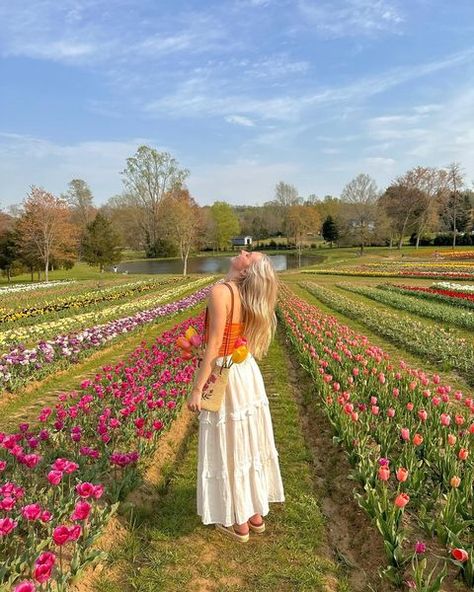 Fashion • Instagram Tulip Field Outfit, Maxi Skirt Casual, Tulip Farm, Italian Summer Outfits, Boho Maxi Skirt, Farm Clothes, Summer Outfits 2024, Flower Photoshoot, Flower Picks