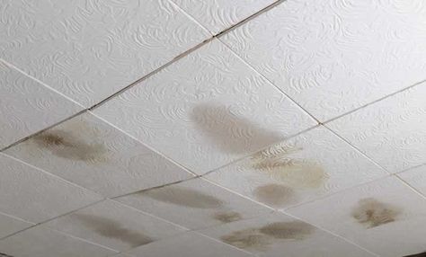 DIY Ceiling Tiles - Replace Damaged Ceiling Tiles Project | Arrow Fastener Replacing Tile Ceiling, Replace Tile Ceiling, How To Replace Ceiling Tiles, Ceiling Tile Replacement Ideas, Replacing Drop Ceiling Tiles, Replace Ceiling Tiles, Replacing Ceiling Tiles, Diy Ceiling Tiles, Ceiling Update