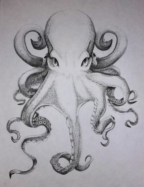 Charcoal and ink 2020 #octopus #art #black and white #vintage style #art #drawing #minimalist Octopus Wrapped Around Drawing, Giant Octopus Drawing, Octopus Head Drawing, Drawing Of An Octopus, Sketches Of Octopus, Octopuses Tattoo, Black And White Octopus Tattoo, Gurita Art, Octopus Pen Drawing