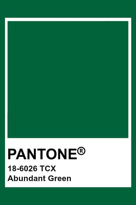 Pantone Colour Palettes Green, Green Pantone Shades, Pantone Tcx Green, Green Pantone Colors, Pantone Green Shades Colour Palettes, Green Pantone Palette, Forest Green Pantone, Pantone Vert, Dark Green Pantone