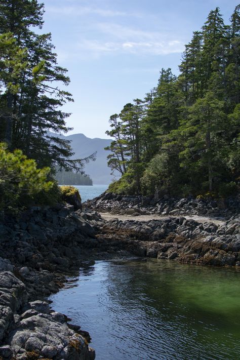 Stunning View From My Kayaking Trip Last Week on Vancouver Island BC Canada. [OC] (4000x6000)  Click the link for this photo in Original Resolution.  If you have Twitter follow twitter.com/lifeporn5 for more cool photos.  Thank you author: https://bit.ly/2NXgEzD  Broadcasted to you on Pinterest by pinterest.com/sasha_limm  Have The Nice Life! Vancouver Island Photography, Vancouver Nature, Pnw Vibes, Pnw Aesthetic, Vancouver Island Canada, Nice Life, Foggy Weather, Landscape Rock, Background Nature