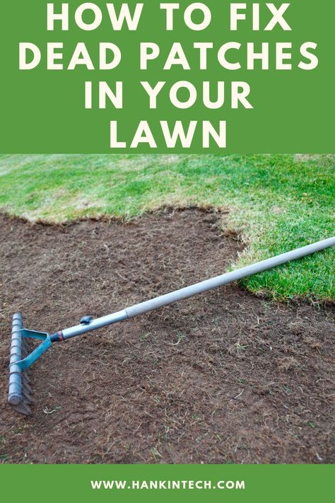 Grass Patches Lawn, How To Fix Patchy Grass Lawn, How To Lay Turf, Leveling Yard, Yard Hacks, Mowing Business, Overseeding Lawn, Planting Grass Seed, Lawn Renovation