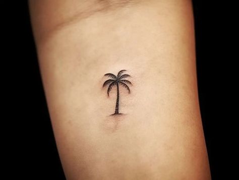 Palm Tree Finger Tattoos For Women, Hand Palm Tree Tattoo, Single Needle Palm Tree Tattoo, Tiny Tattoos Palm Tree, Palm Tree Tattoo Minimal, Palm Tree Tattoos Small, Small Tattoo Palm Tree, Turtle Palm Tree Tattoo, Tiny Palm Tree Tattoos For Women