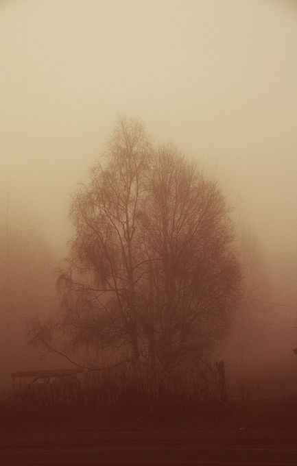 Surounded in Sepia by eskimotwila - ViewBug.com Sepia Tone Photography, Sepia Color Palette, Sepia Aesthetic, Sepia Art, Rustic Color Palettes, Sepia Color, Cold Wax Painting, Glass Menagerie, Sepia Photography