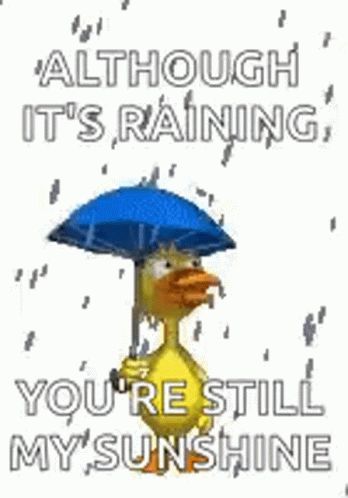 Although Its Raining Youre Still My Sunshine Duck GIF - AlthoughItsRainingYoureStillMySunshine Duck RainyDay - Discover & Share GIFs Good Morning Rainy Day Coffee, Good Morning Rainy Day Quotes, Rainy Day Good Morning, Rainy Morning Quotes, Morning Rainy Day, Rainy Day Coffee, Good Morning Rain, Rainy Good Morning, Coffee Good Morning