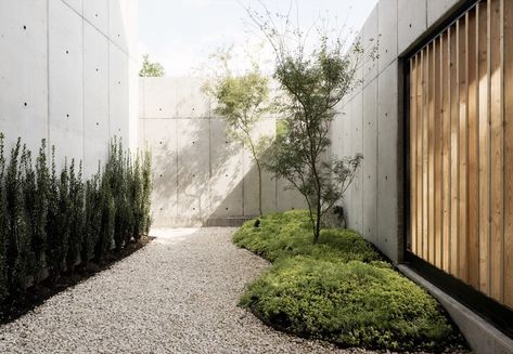 Japandi Garden, Box House, Beton Design, Concrete House, Box Houses, Concrete Design, Interior Garden, Green Life, Modern Landscaping