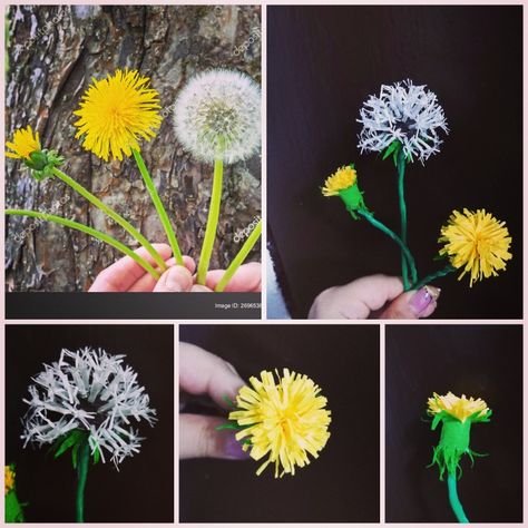 Italian crepe paper dandelions Paper Dandelion, Dandelion Crown, Flower Origami, Crown Diy, Diy Crown, Crepe Paper Flowers, Paper Flower Tutorial, Crepe Paper, Flower Tutorial