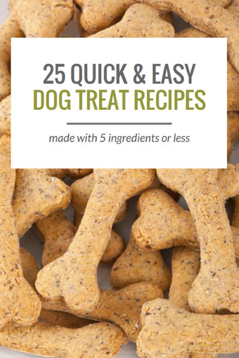 Homemade Dog Cookies, Dog Treats Homemade Easy, Easy Dog Treat Recipes, Dog Biscuit Recipes, Easy Dog Treats, Healthy Dog Treats Homemade, Dog Treats Homemade Recipes, Diy Dog Treats, Puppy Treats