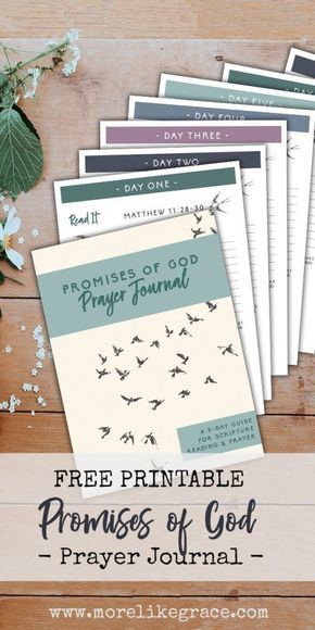 Prayers Journal, Bible Help, Prayer Walk, Printable Organizer, Prayer Prompts, Prayer Journal Printable, Christian Advice, The Promises Of God, Prayer Guide