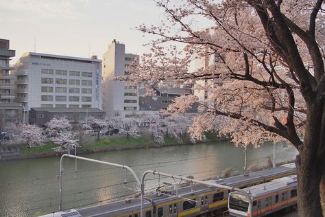 The Garden Of Words, Ochako Uraraka, Japan Aesthetic, Aesthetic Japan, Korean Aesthetic, Japanese Aesthetic, Noragami, City Aesthetic, Pretty Places