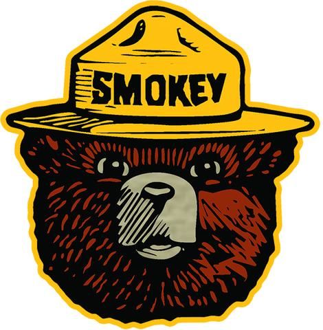 Premium durable vinyl sticker featuring Smokey the Bear! Durable vinyl sticker DIECUT Shape Laminated to protect from scratching, fading & weather Printed in the USA Size: 4" x 4" Smokey The Bear, Bear Decal, Weather Print, Smokey Bear, Smokey The Bears, Bear Tattoo, Nature Stickers, Bear Pictures, Bear Hat