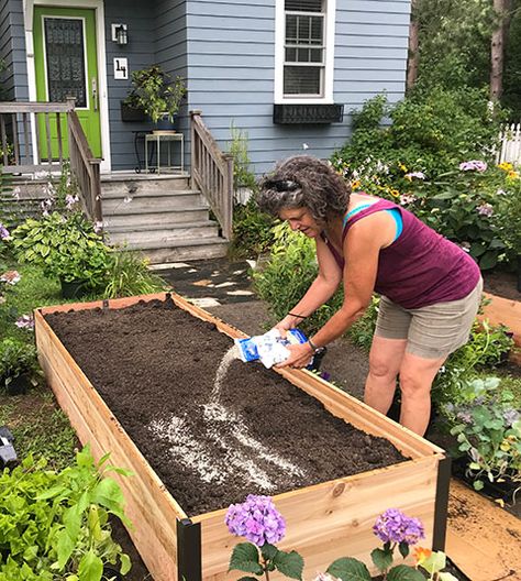 Kitchen Garden Planner Inexpensive Raised Garden Beds, Raised Garden Bed Soil, Garden Rows, Raised Garden Beds Diy Vegetables, Long Garden, Garden Bed Layout, Raised Garden Bed Plans, Vegetable Beds Raised, Building Raised Garden Beds