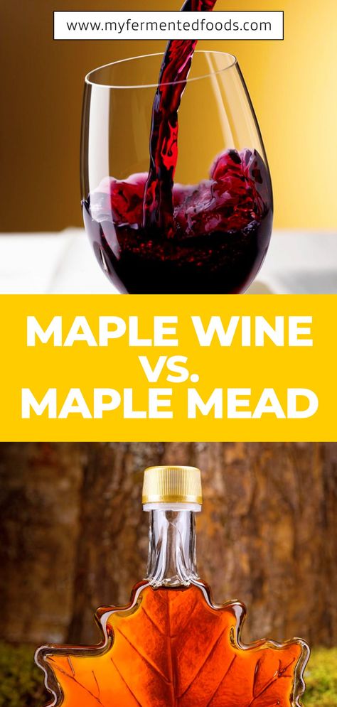 Maple mead and maple wine are often confused for each other. In reality, there are many differences, the primary one being that maple wine does not contain any honey and it is just fermented maple syrup.  . . . #MyFermentedFoods #MapleMead #SweetAndSour #FermentedDrink #Fermentation #Fermenting #FermentedFoods #Maple #Mead #SpicyDrink #Syrup Winter Homesteading, Viking Recipes, Foraging Plants, Booze Recipes, Mead Recipes, Mead Making, Probiotic Food, Homemade Wine Recipes, Mead Wine