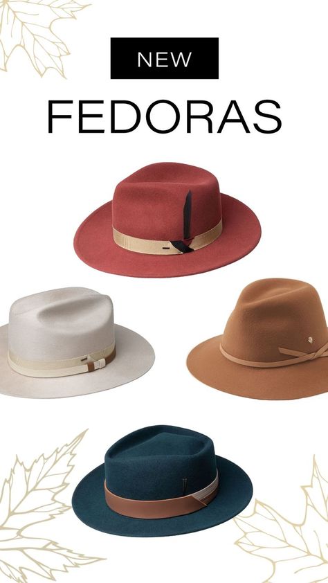 Pictured: • Kinns Fedora by Bailey 1922 • Carly Fedora by Helen Kaminski • Darwin Fedora by Bailey 1922 • Sprake Fedora by Bailey 1922 Trendy Hats, Helen Kaminski, Trendy Hat, Quality Hats, Elevate Your Look, Classic Hollywood, Individual Style, Hat Making, Wide Brimmed