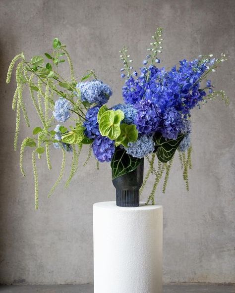 Blue Flowers Arrangements, Blue Floral Arrangements, Blue Floral Bouquet, Delphinium Blue, Blue Flower Arrangements, Blue Flowers Bouquet, Summer Flower Arrangements, Tropical Floral Arrangements, Filler Flowers