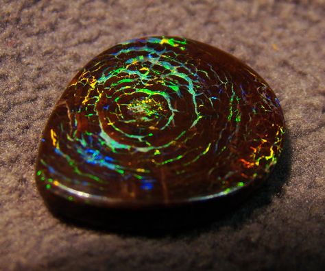 Pretty Rocks, Beautiful Rocks, Mineral Stone, Rocks And Gems, Minerals And Gemstones, Precious Gems, Gems And Minerals, Boulder Opal, Stone Rocks