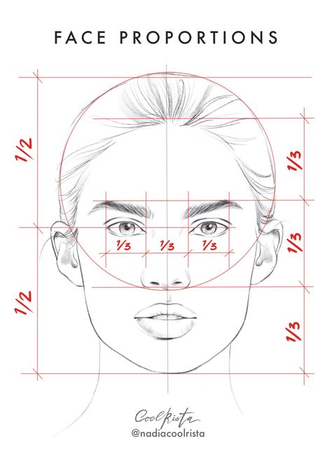 Front Face Drawing Tutorial, Basics Of Drawing A Face, Front Portrait Drawing, Basic Of Drawing, Front Facing Portrait Drawing, Face Ratio Drawing, Basic Face Sketch, Front Face Sketch, Front Face Portrait