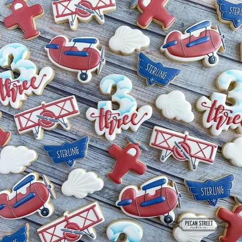 Transportation Cookies, Airplane Birthday Theme, Airplane Cookies, Time Flies Birthday, Planes Birthday Party, Planes Birthday, Organic Cookies, Airplane Birthday Party, Airplane Party