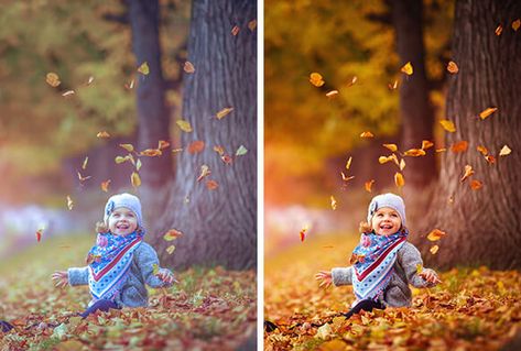 Free Photoshop Presets, Photoshop Elements Actions Free, Photo Manipulate, Photoshop Ipad, Photoshop Actions Free Download, Background Eraser, Photo Action, Photoshop Brushes Free, Sketch Photoshop