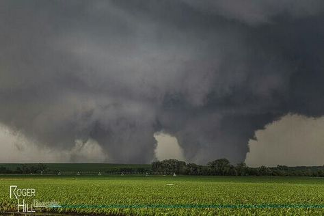 Twin tornadoes last night in Pilger, Nebraska.  6/16/14 Tornado Pictures, Storm Pictures, Strange Weather, Weather Cloud, Storm Chasing, Wild Weather, Lightning Storm, Weather Photos, Natural Phenomena