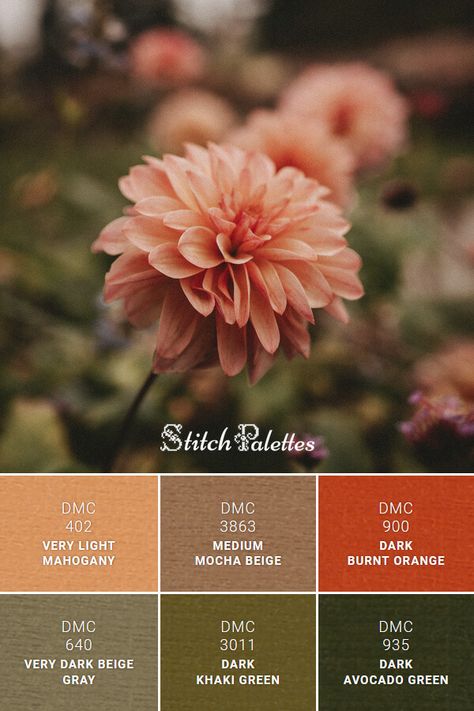 Burgundy Mustard Color Schemes, Burnt Orange Colour Palette, Burnt Orange And Green Living Room, Khaki Colour Palette, Burnt Orange Color Palette, Stitch Palettes, Dark Burnt Orange, Orange Dahlia, Orange Palette