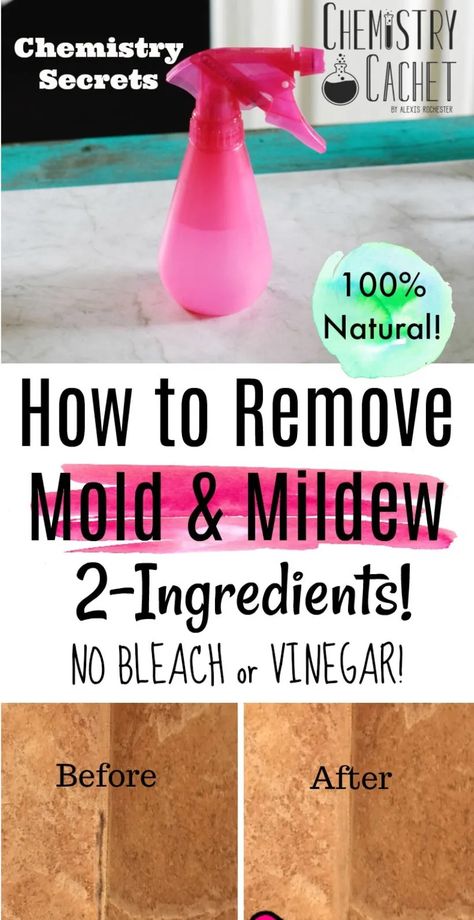 The Best Way to Remove and Clean Mold & Mildew with 2 Ingredients. NO bleach or vinegar! Completely natural and very effective for all parts of your home! This homemade cleaning spray will disinfect the area naturally while killing mold or mildew in your bathroom. How To Remove Mold, Remove Mold, Homemade Toilet Cleaner, Mold In Bathroom, Mildew Remover, Cleaning Mold, Cleaning Painted Walls, Glass Cooktop, Deep Cleaning Tips